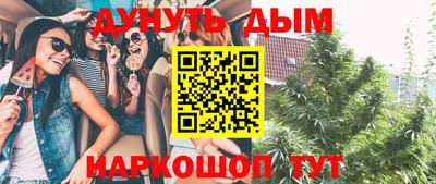 крисы Новозыбков