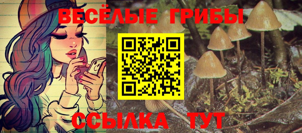 Реж  Псилоцибиновые грибы мухоморы  Вход с VPN 