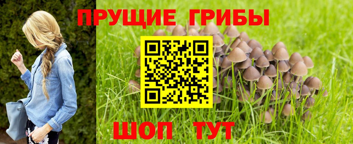 Псилоцибиновые грибы MAGIC MUSHROOMS Реж